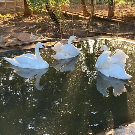 Casinhas Da Quinta Ferienpark Ferreira do Zêzere