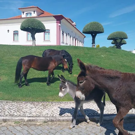 Casinhas Da Quinta Üdülőpark